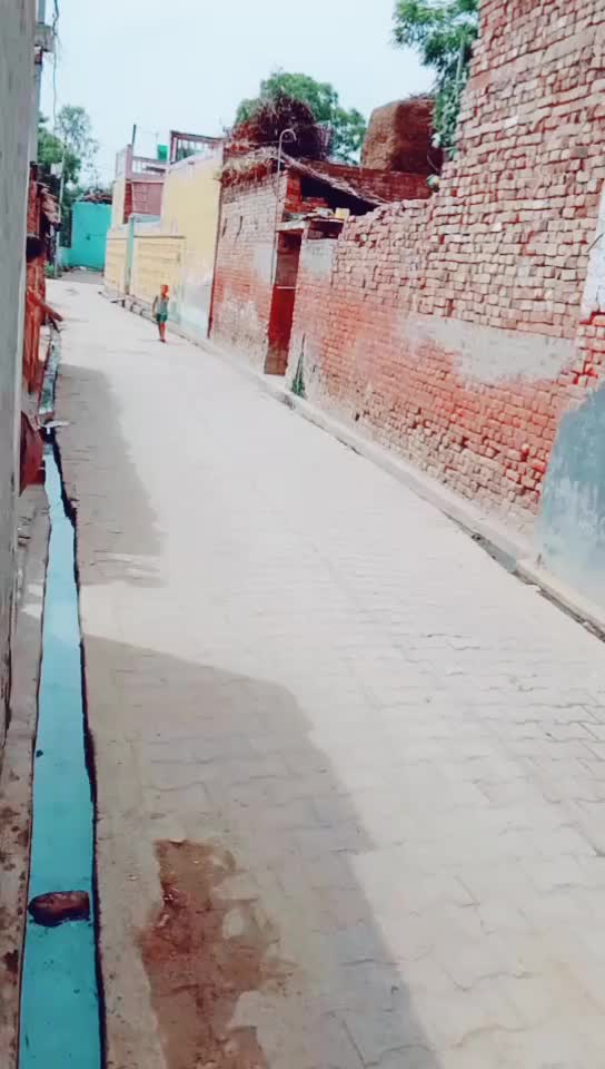 @dimpal choudhary
