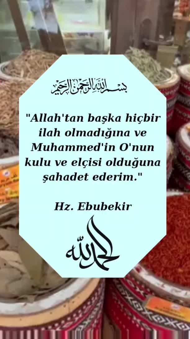 @LAZ UŞAĞI