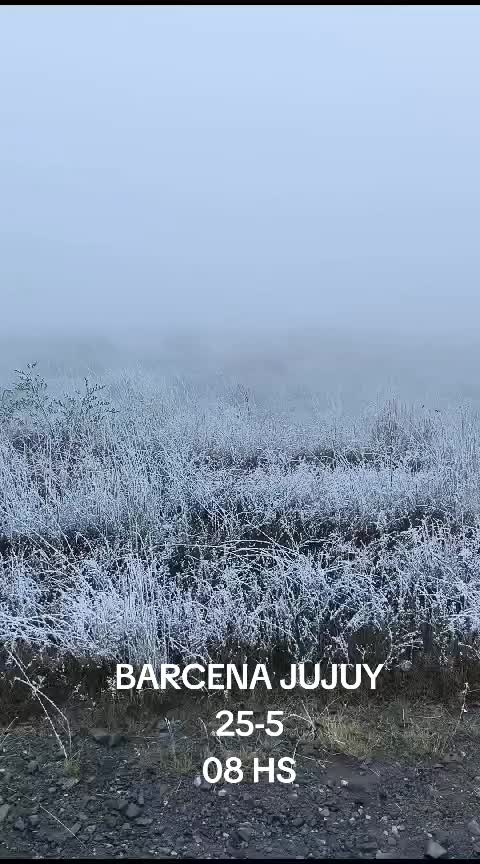 @Ruben Alberto Landaita