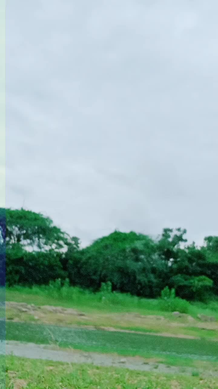 @Raj Nagraj
