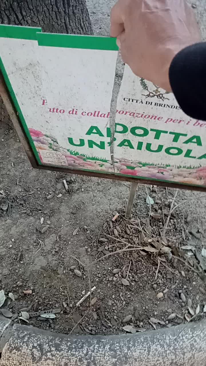 @Gianluca Il Ballerino
