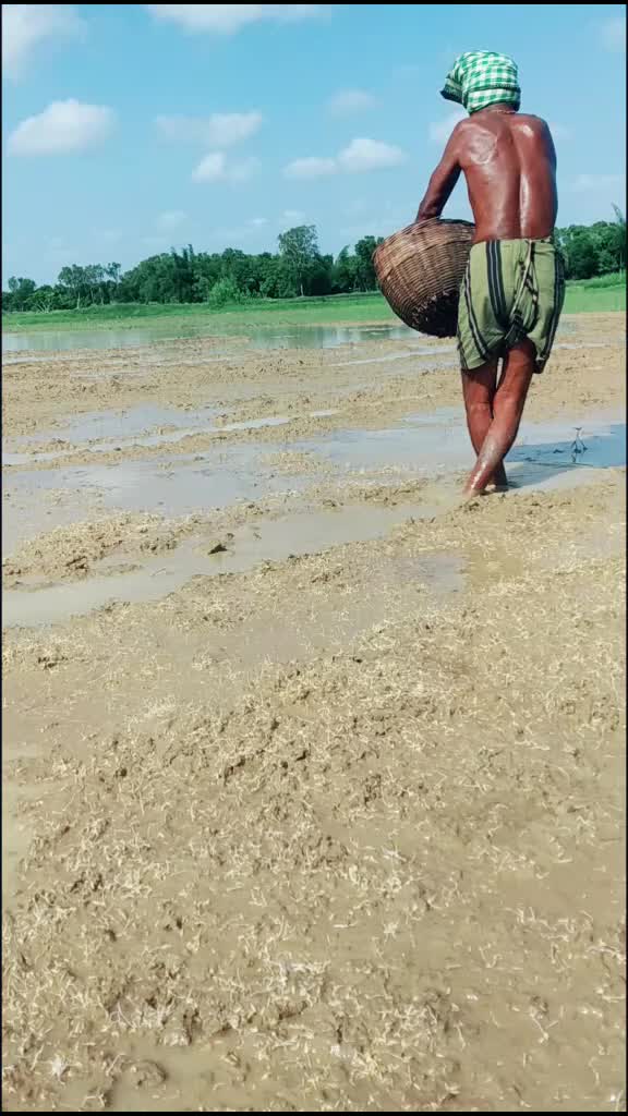 @Sunilmahapatrask