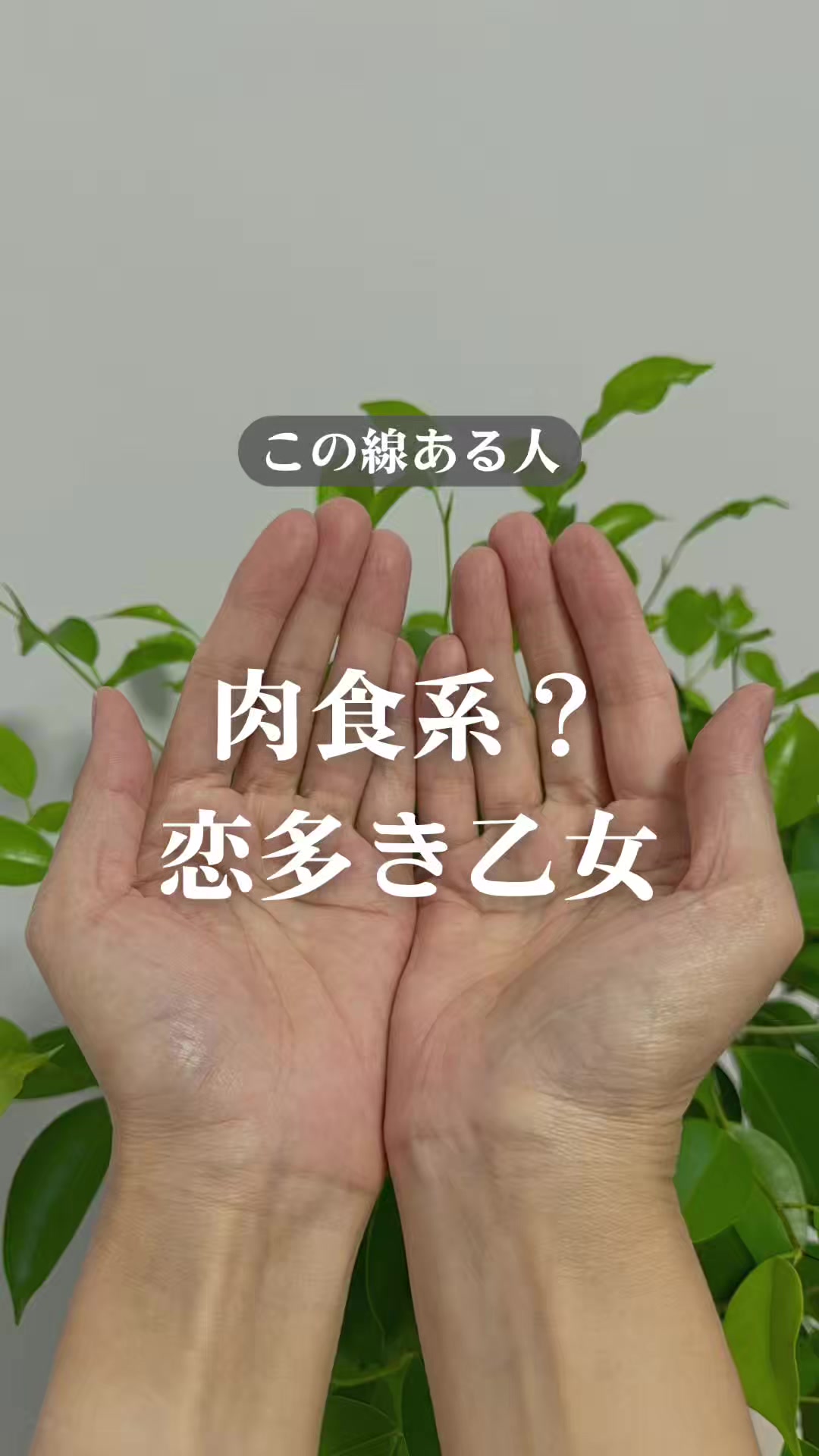 @shizue_tesou