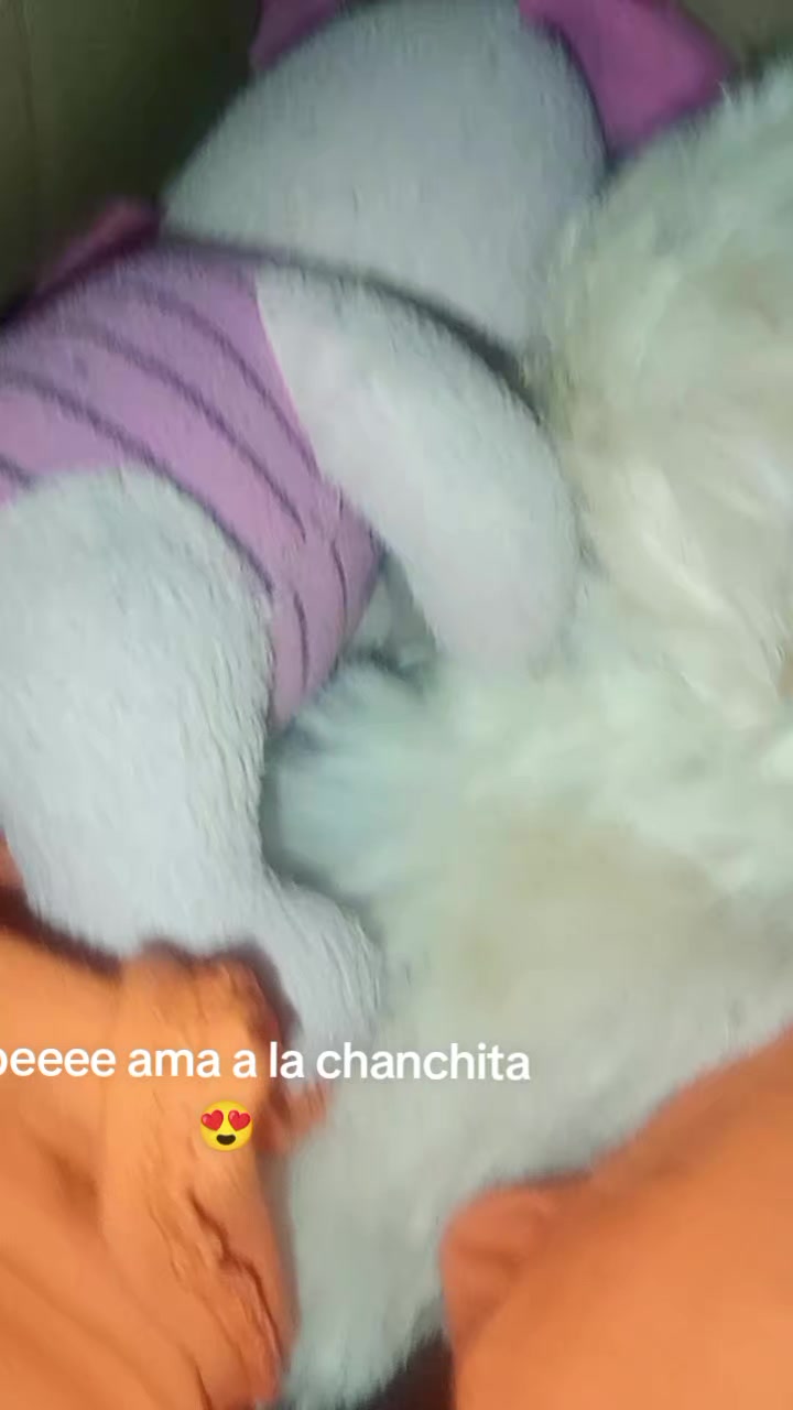 @Camiii🦋