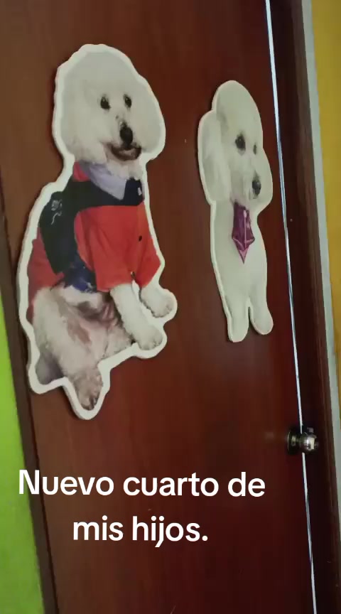 @Sky e Igor 01
