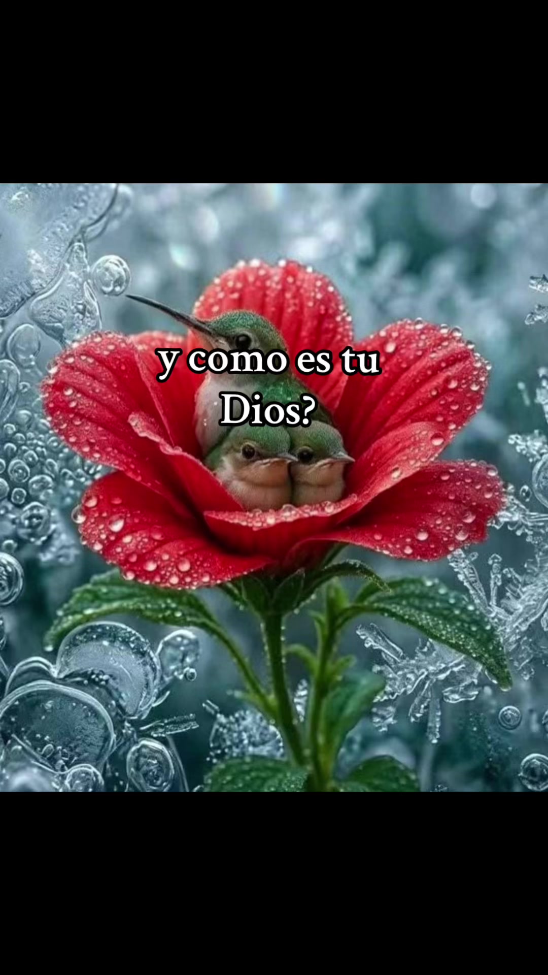 @J_C_P_A_🌺