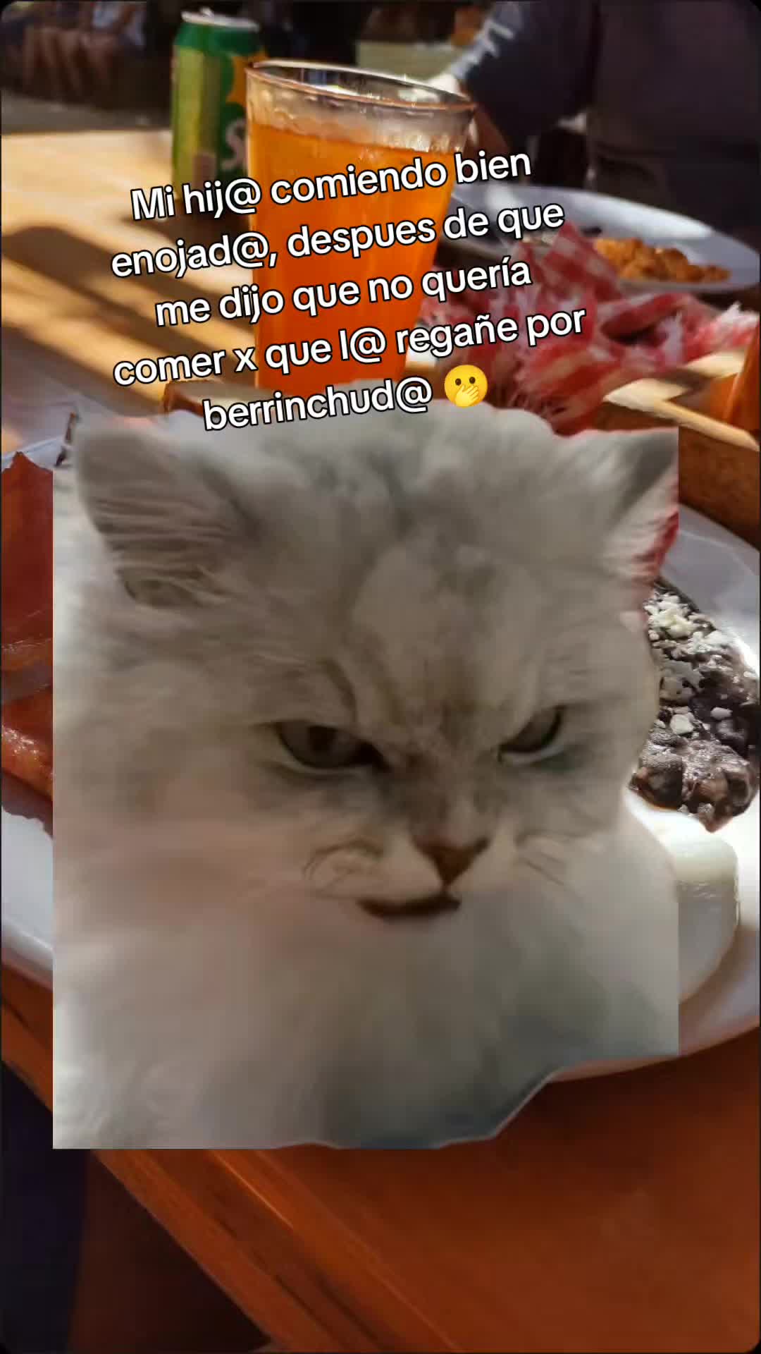 @Sandra (✿^‿^)