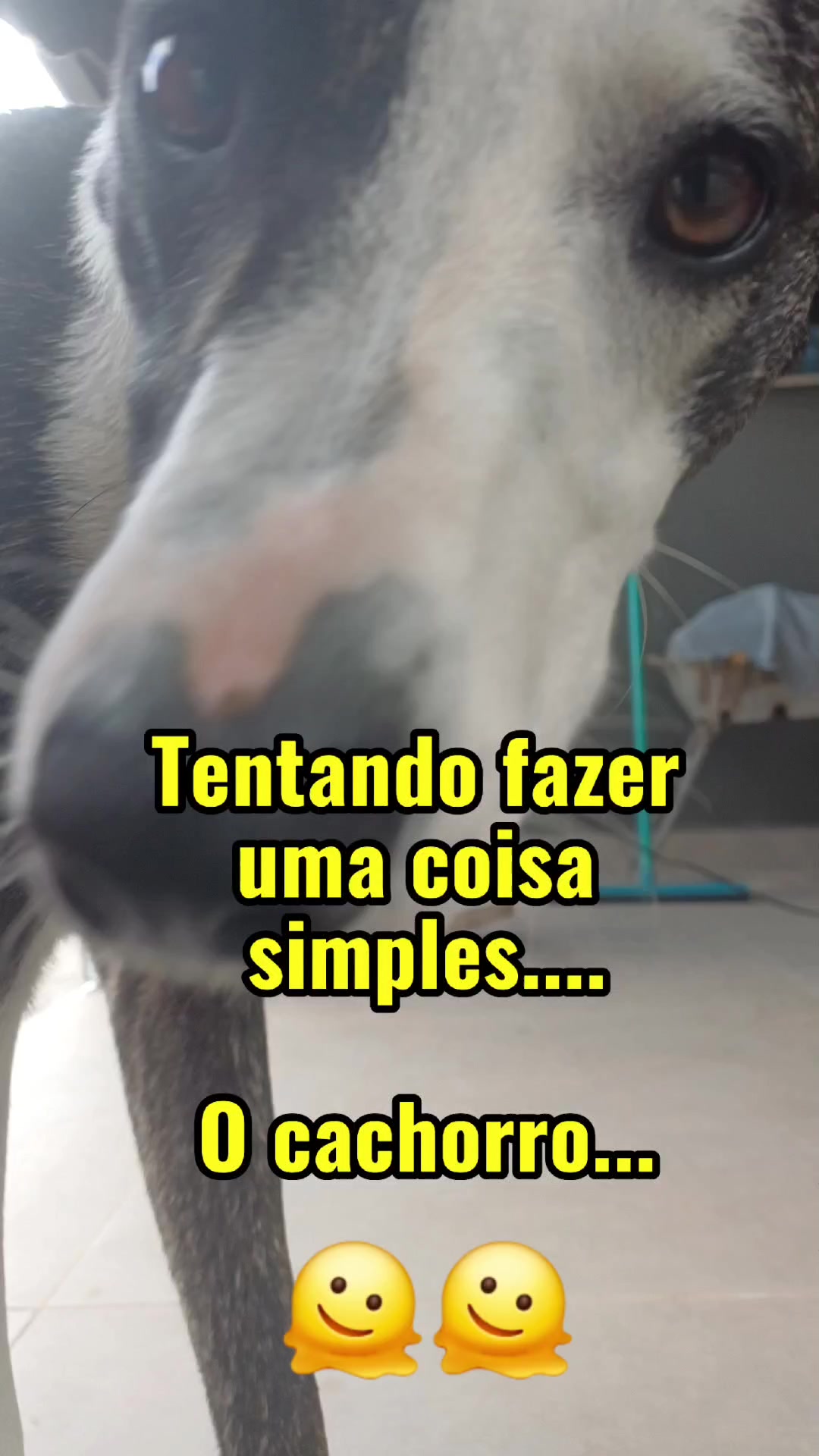 @Vida Sem Roteiro