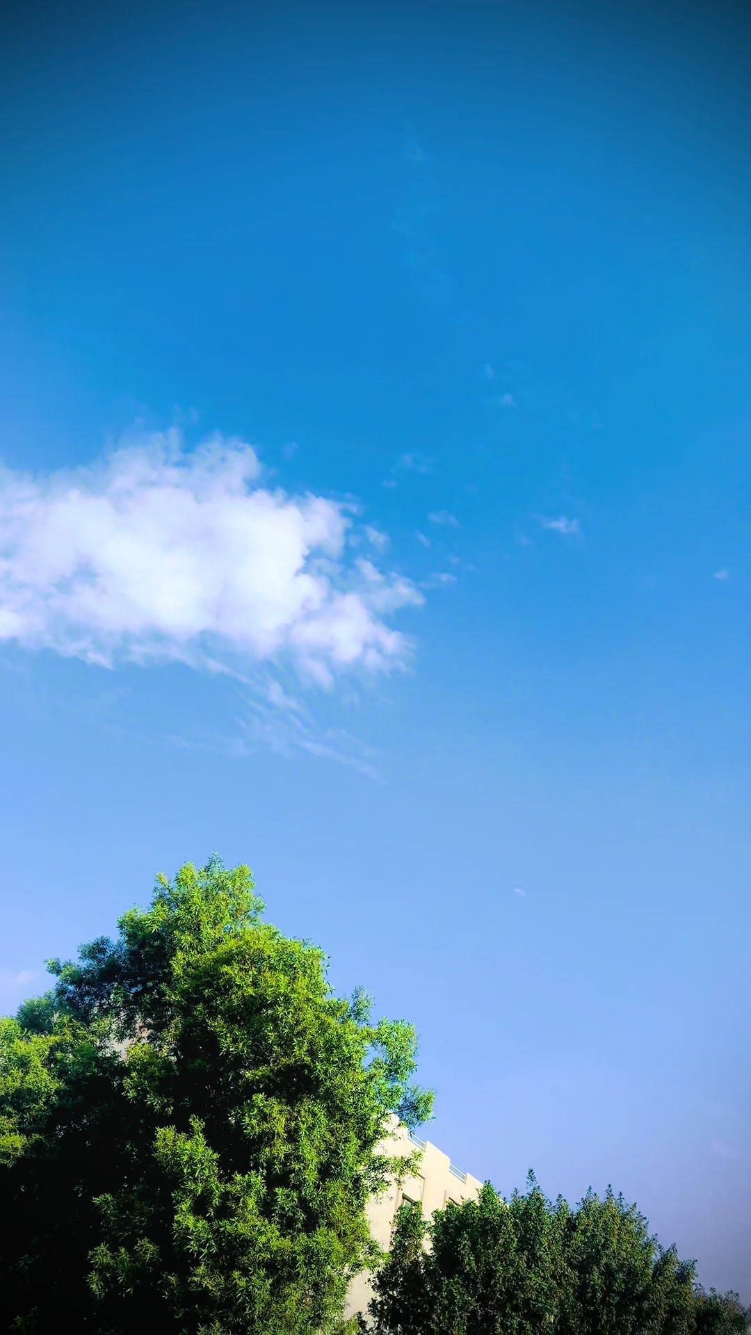 @� غلام بادشاہ سندری �🇦🇪