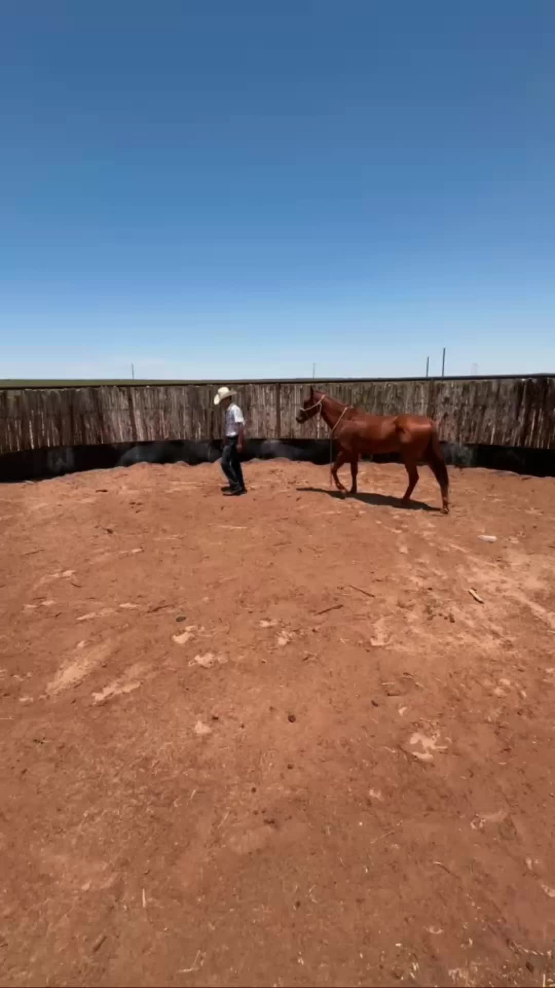 @Paul2161