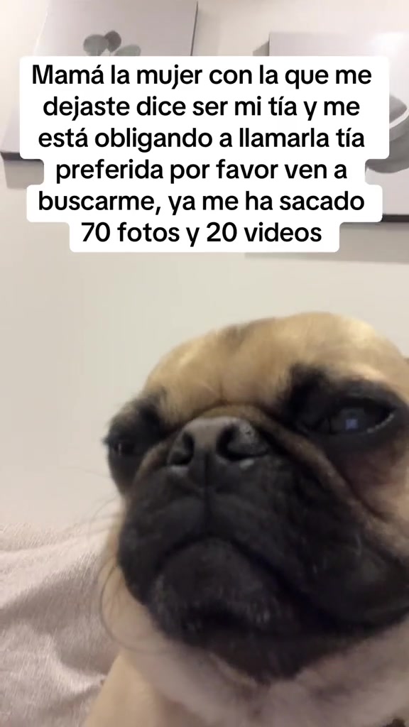 @Alexa&elcarnalchiss