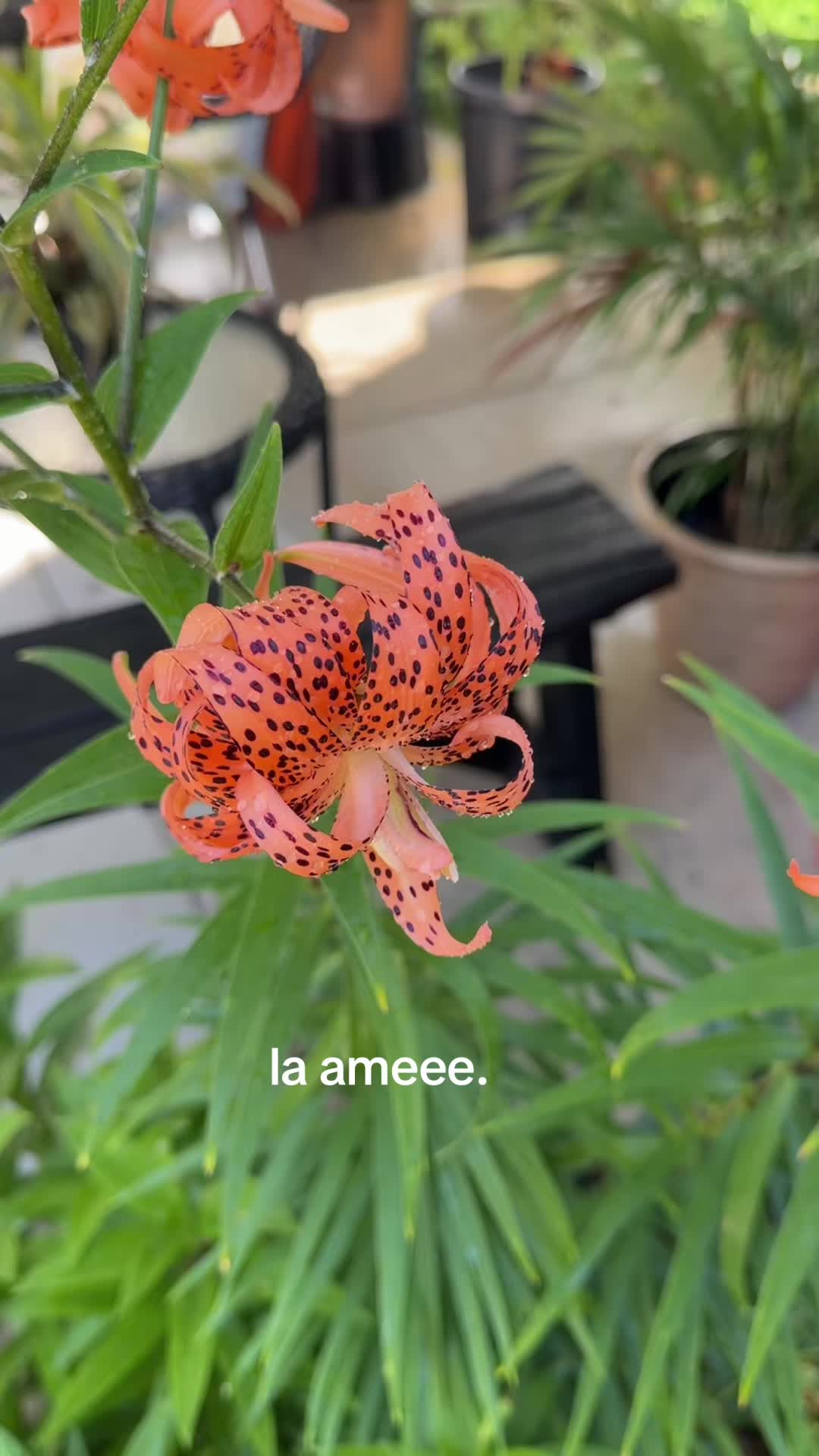 @Margarita Valdez