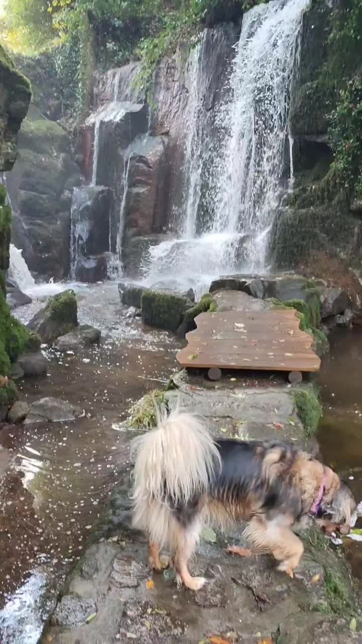 @Galicia Máxica