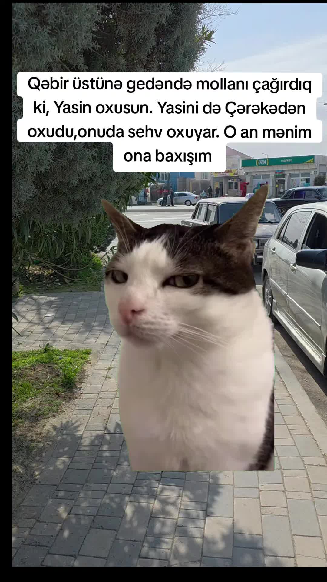 @memmedova