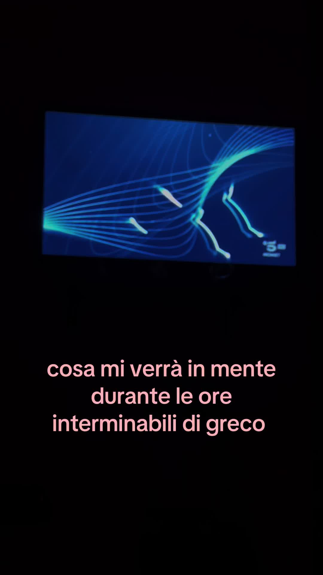 @user__19541