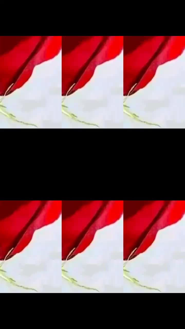 @sanju