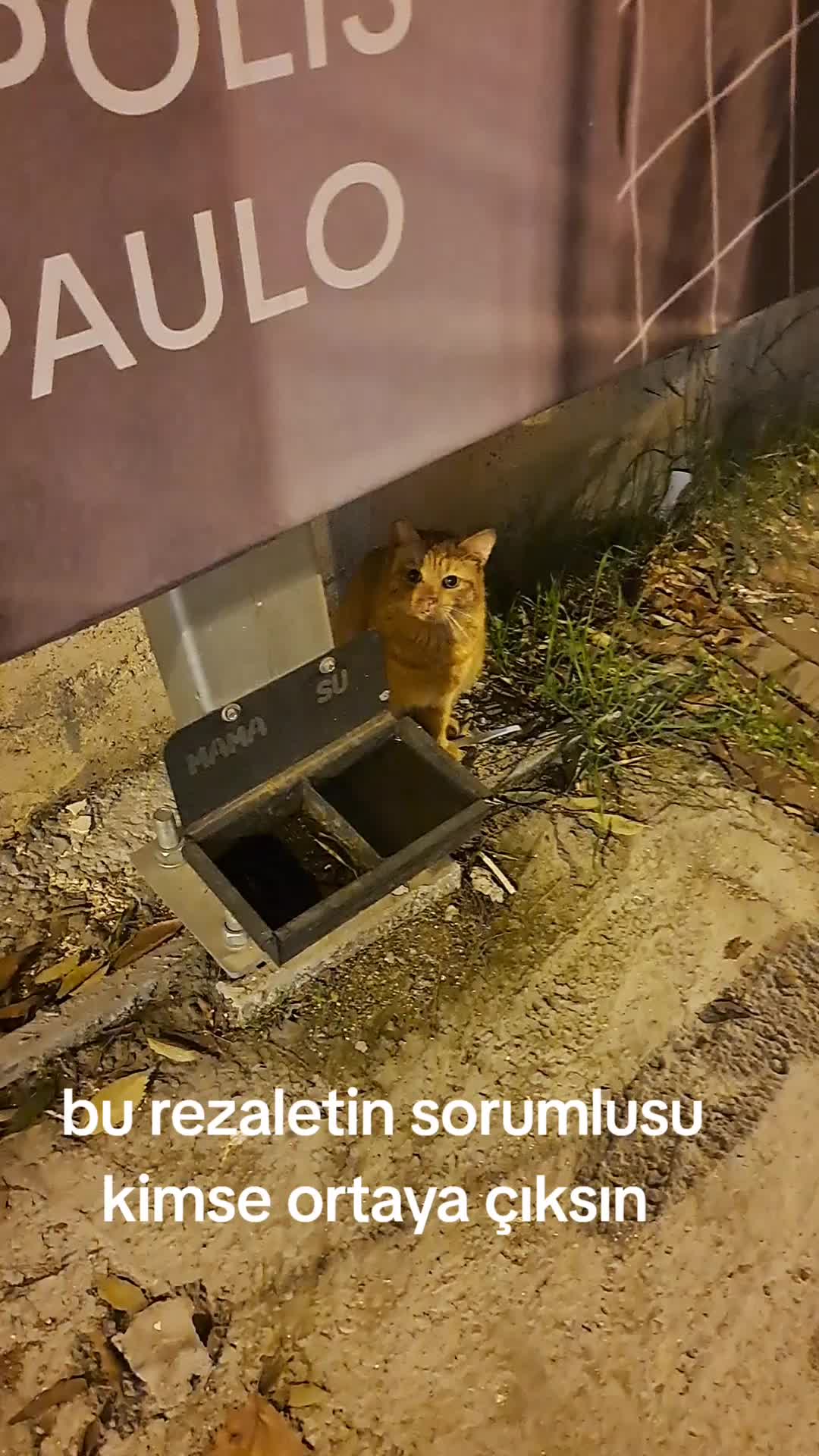 @Ayşe