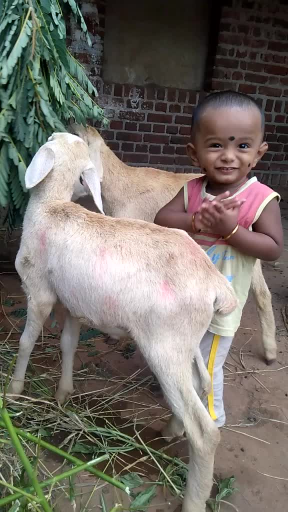 @Maruthu Mani