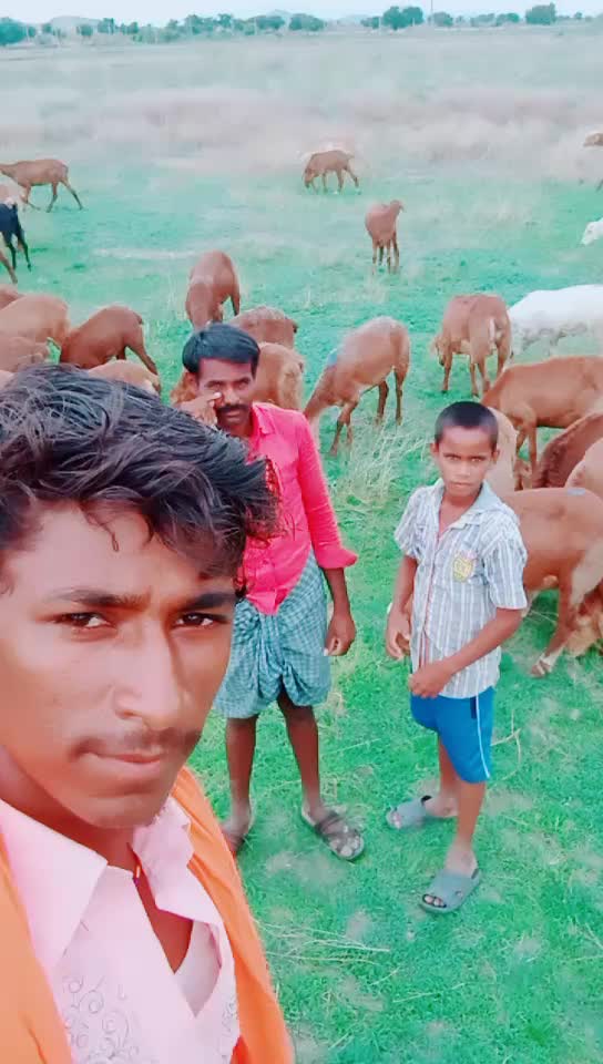 @M Viresha M Viresha