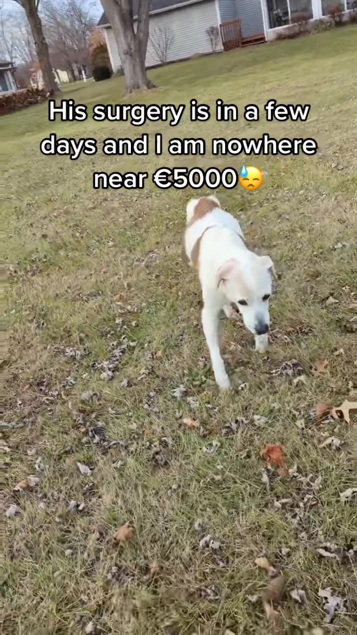 @PrayForCooper