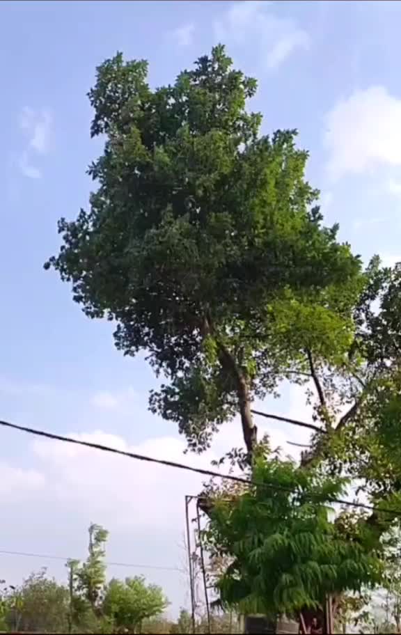 @Mukul9111