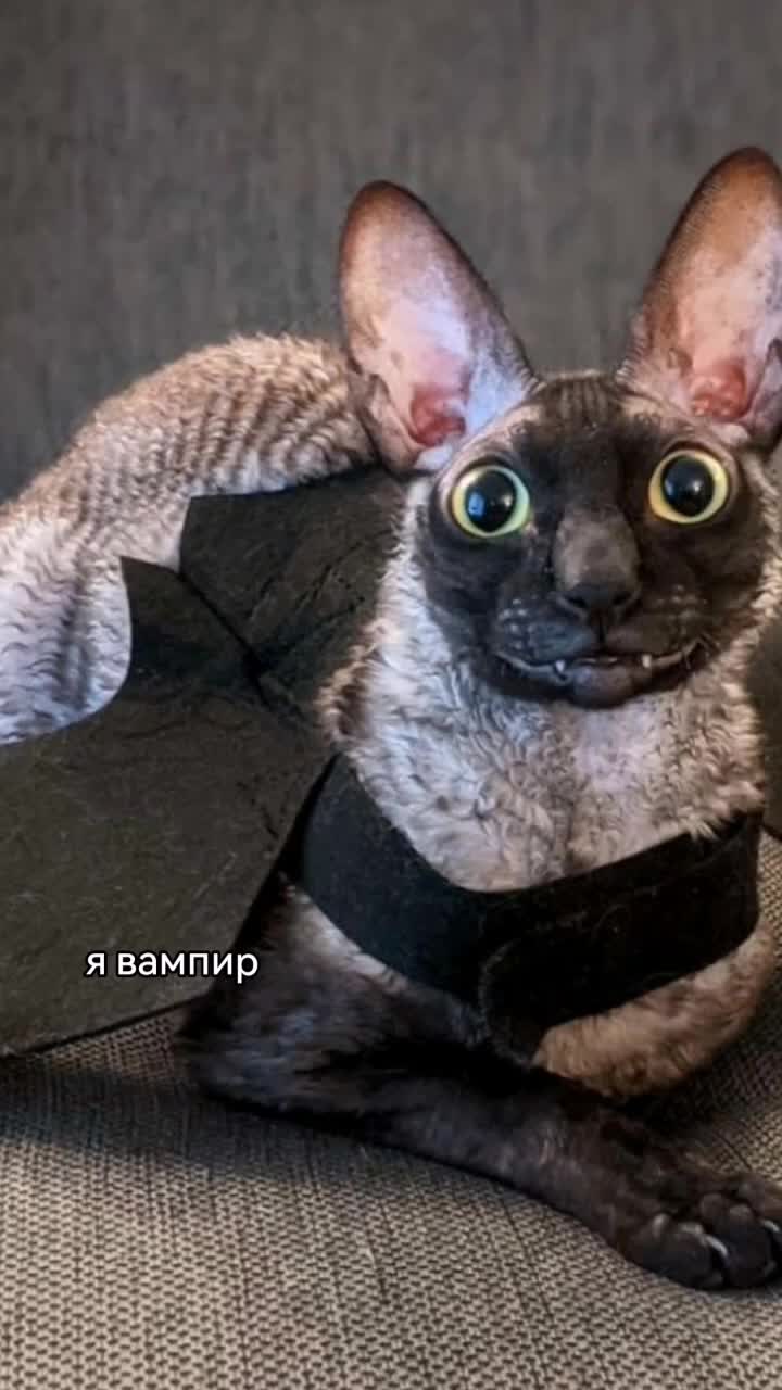 @бро