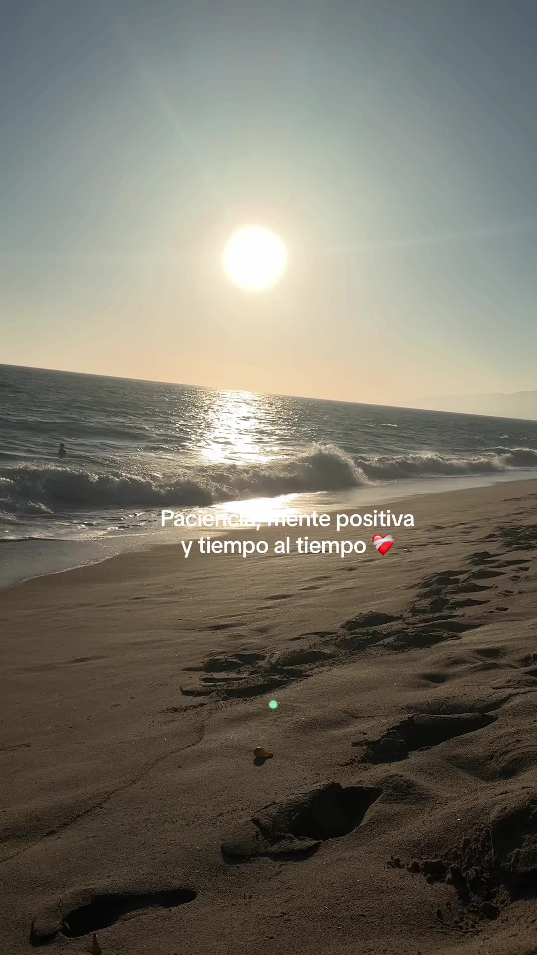 @Amalia Castro