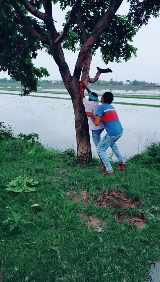 @Maheshwar Singh 255M