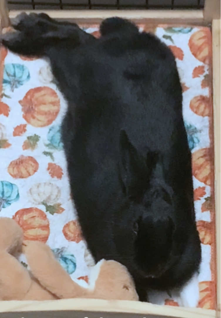 @interestinglilcreature
