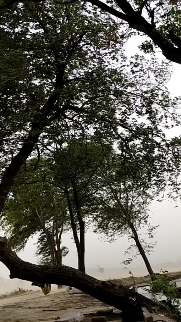 @harvinder_singh