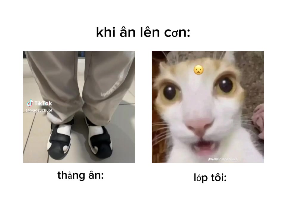@ph&uacute;c❤️&zwj;🔥🌹🇻🇳