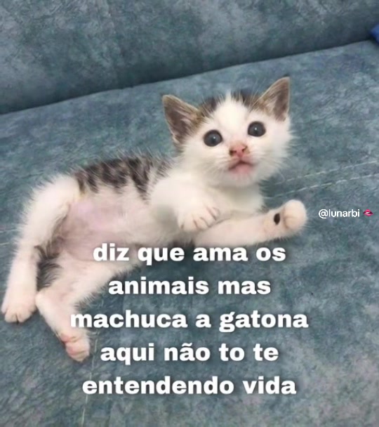 @lunarbi 🫦