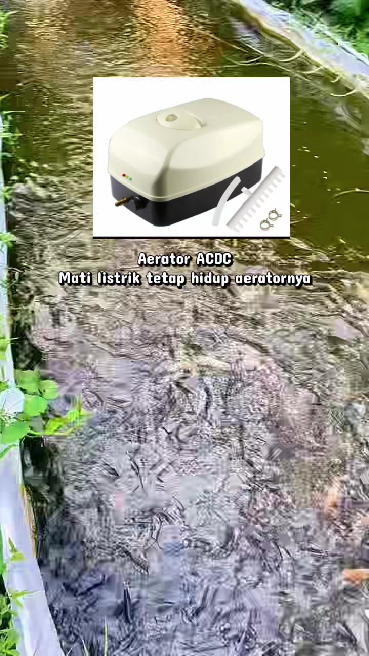 @NAMI TOKOKU