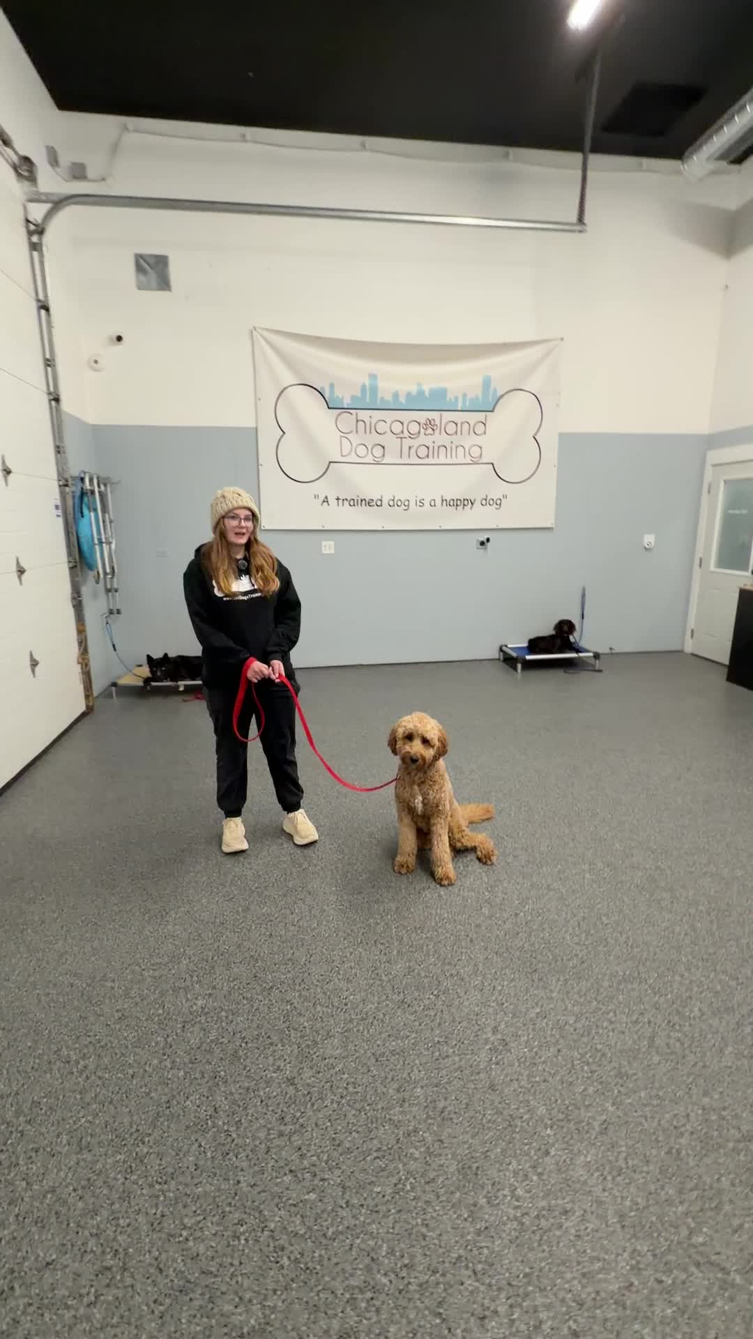 @Chicagoland Dog Training