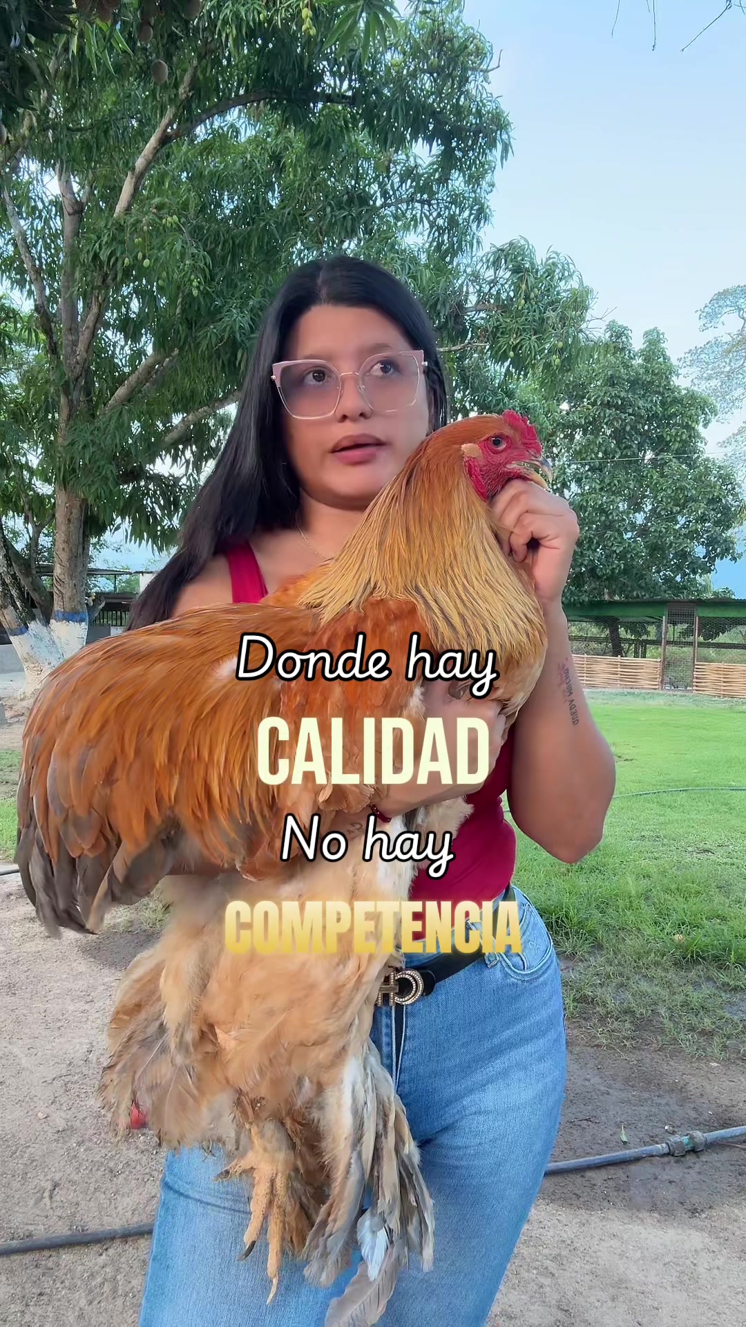 @Granjamascotalandiayaracuy