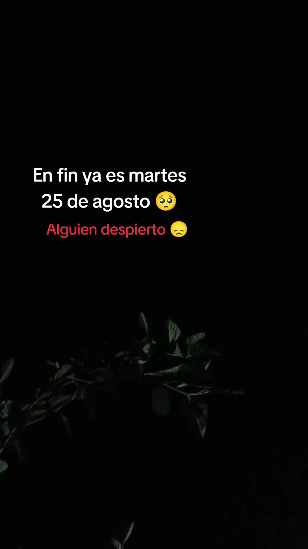 @@flaquito_071