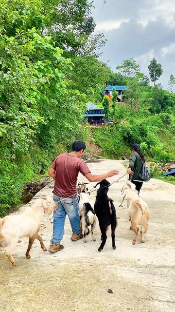 @jivan bhandari