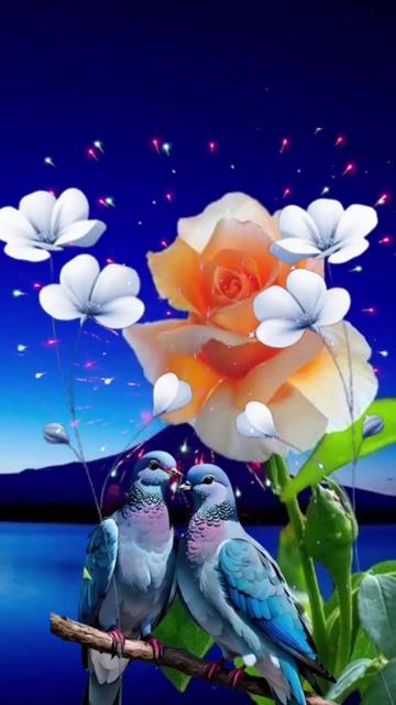 @suvrna