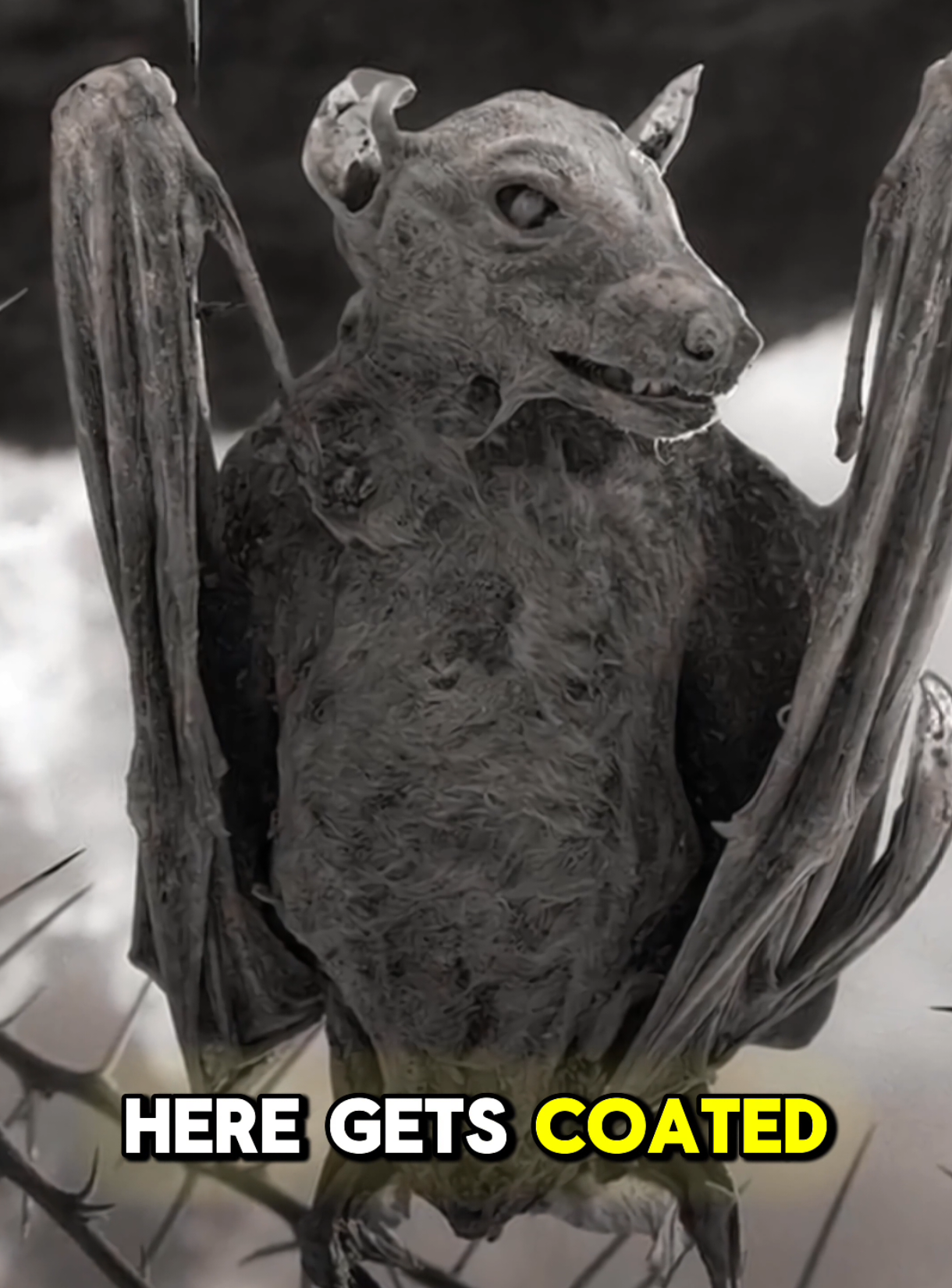 @45sec_facts