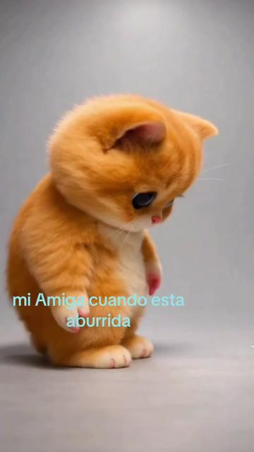 @paulina
