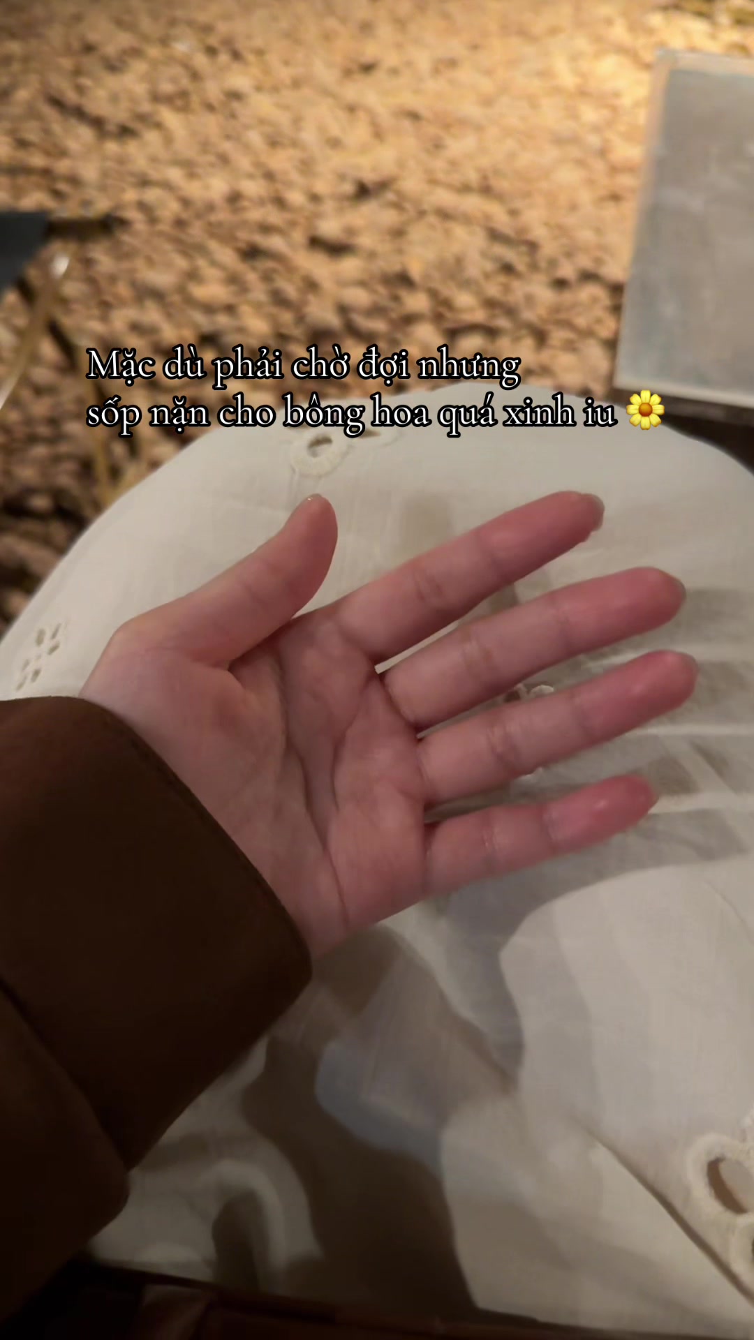 @Bạn đời của h&agrave;m duy tr&igrave;