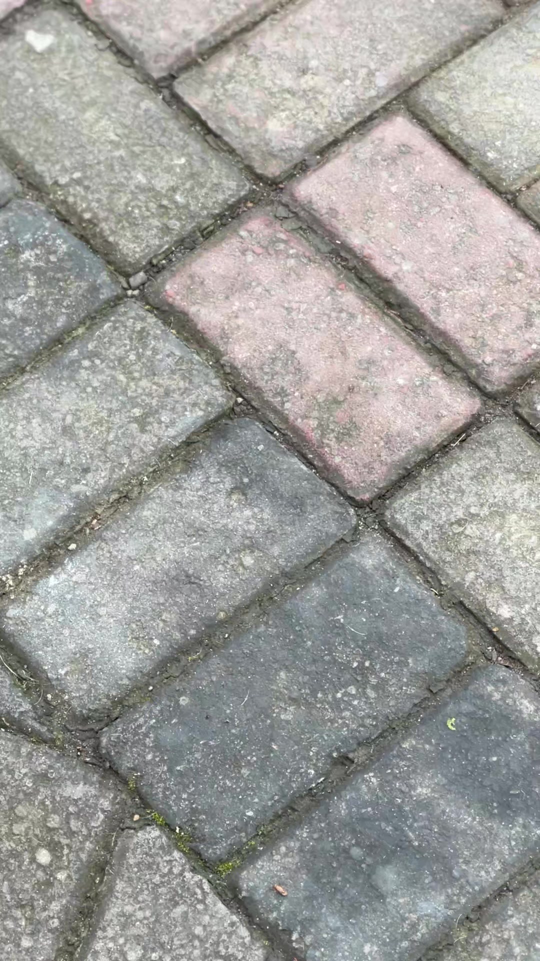@Baby_Mochi99