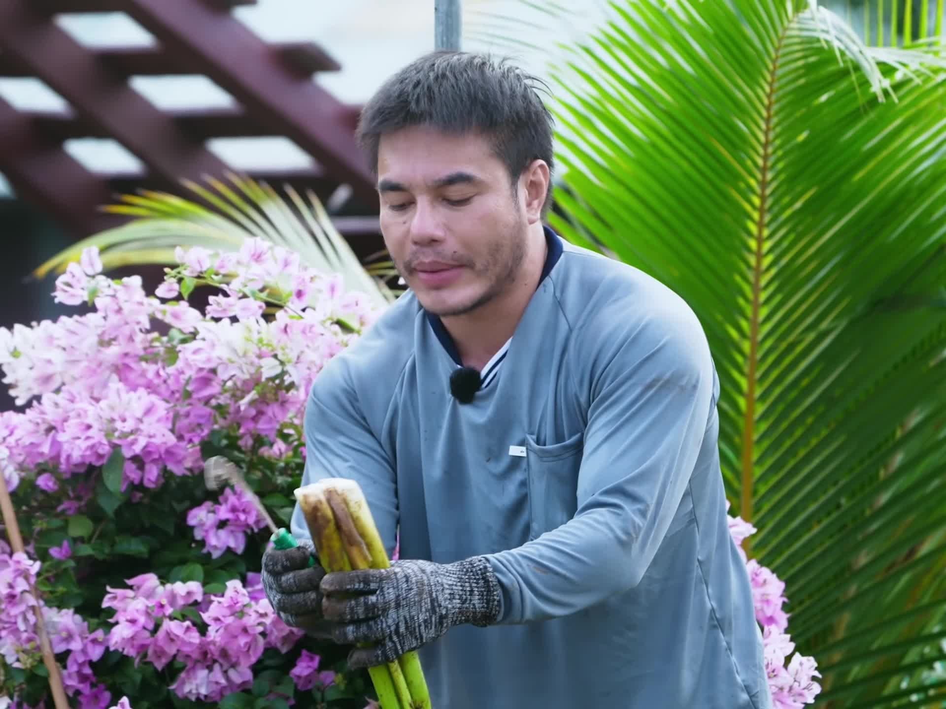 @Lê Dương Bảo.Lâm