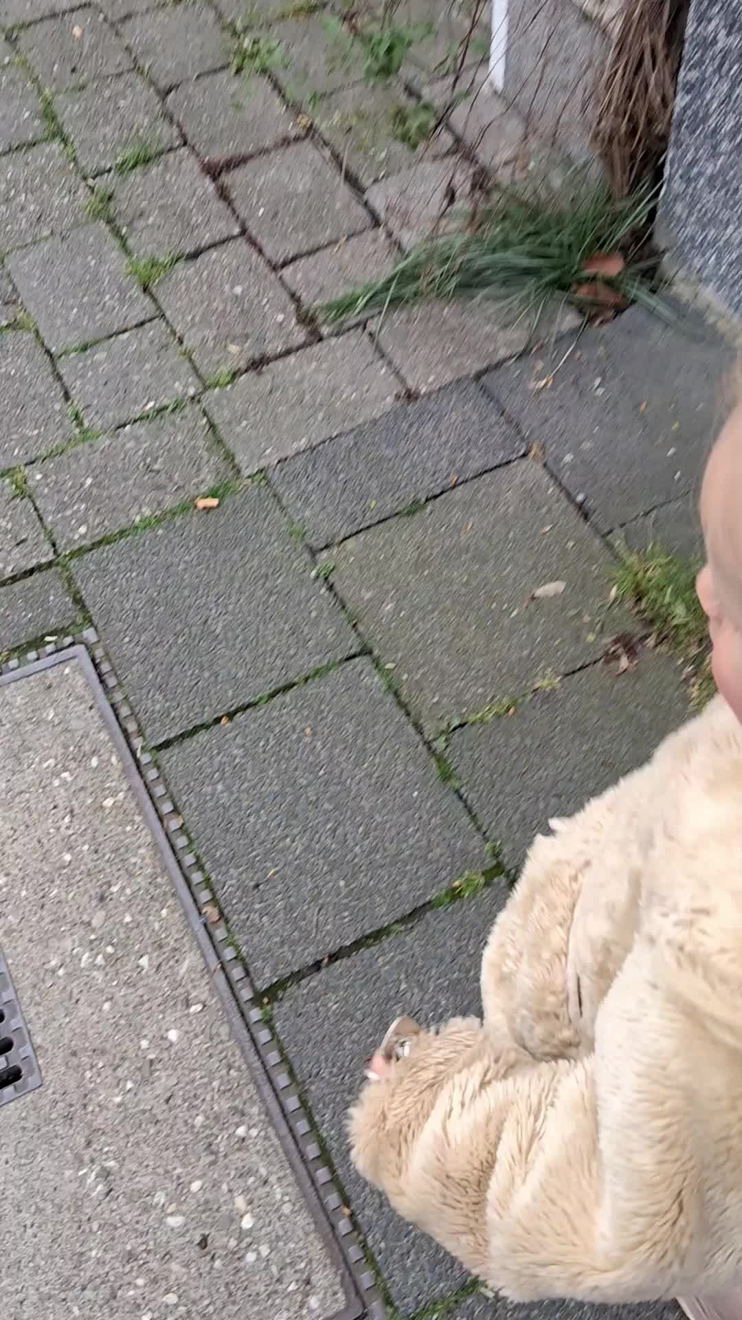 @Laura ✨️