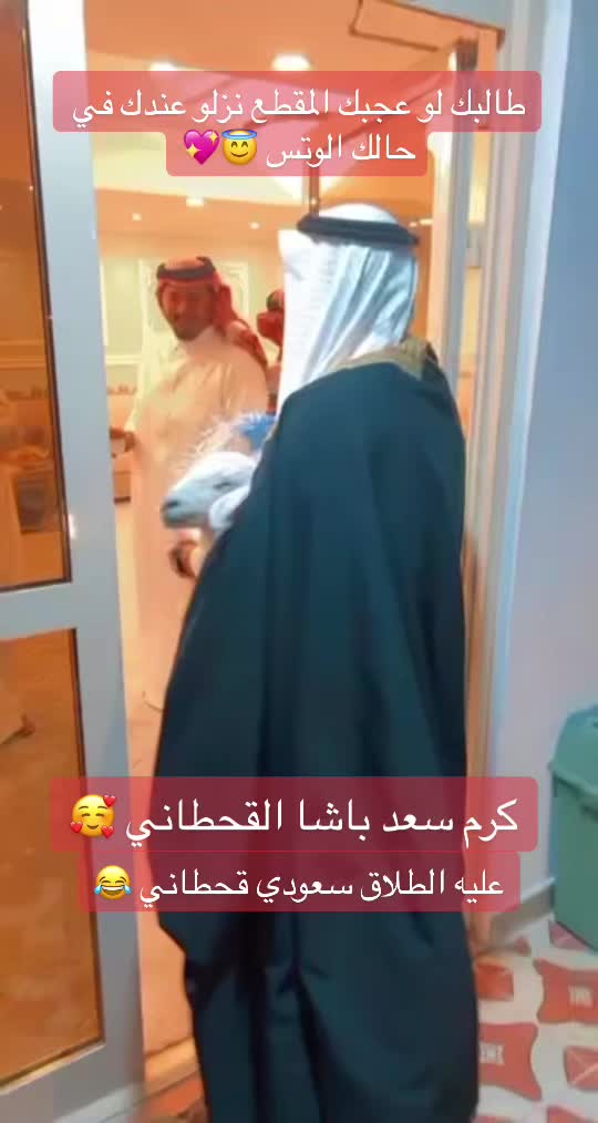 @سعد باشا القحطاني Saad Basha