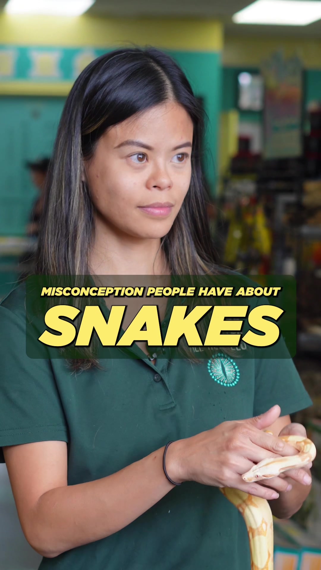 @All Reptiles