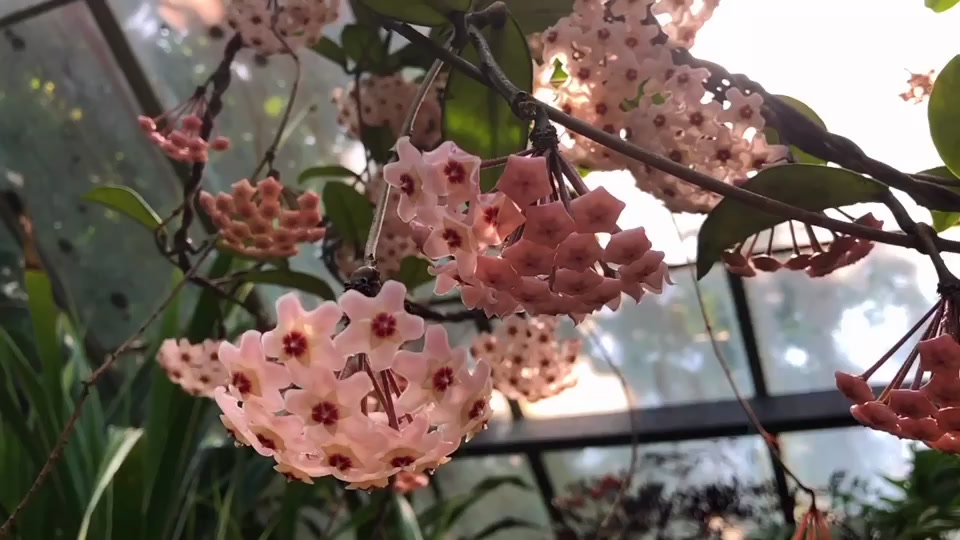 @♡
