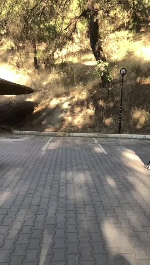 @berivan &ccedil;elik 