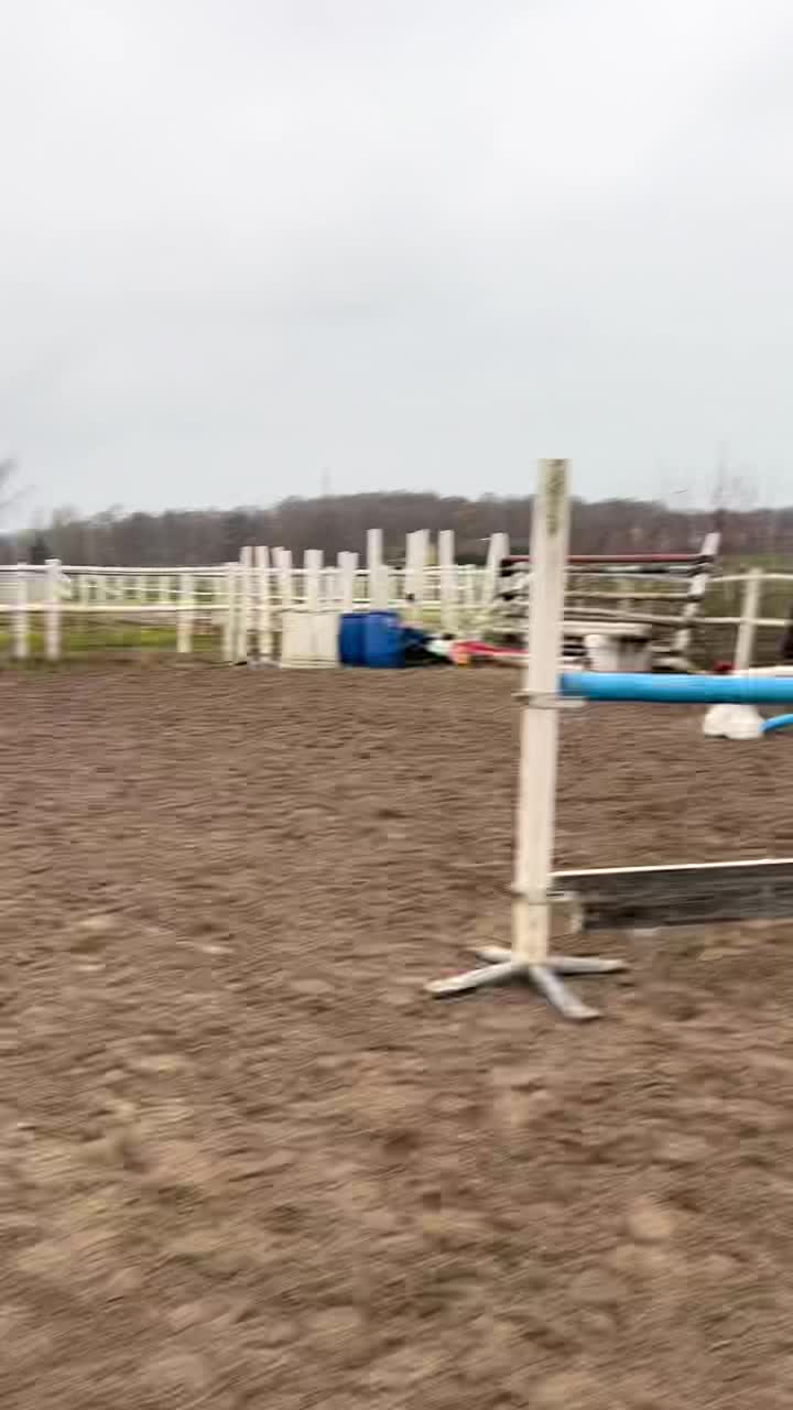 @𝐿𝑖𝑛𝑎 𝐿𝑖𝑙𝑗𝑒𝑘𝑣𝑖𝑠𝑡