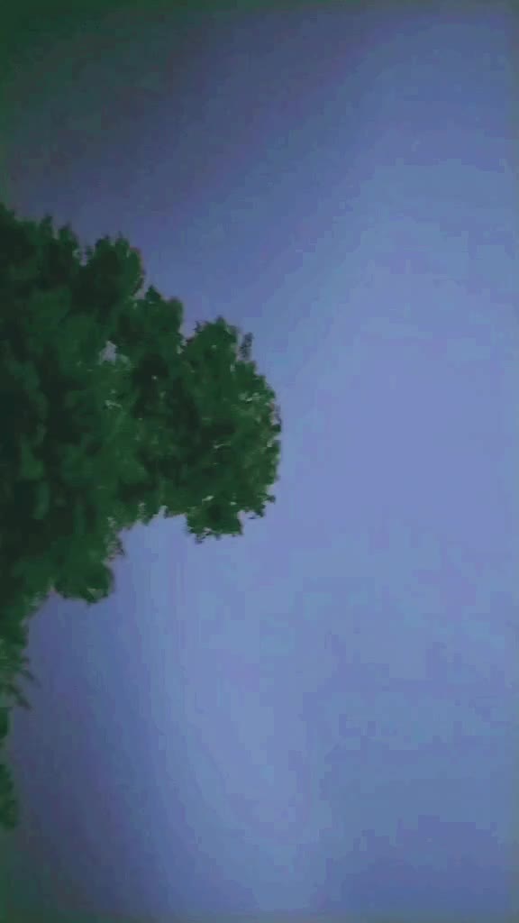 @𝘔𝘙✦🅒🅷🅰🄽Đ
